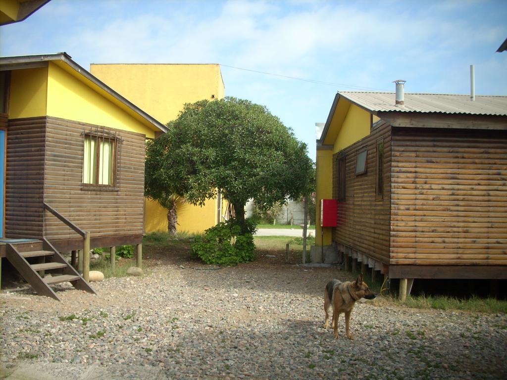 Cabañas Caleta San Pedro La Serena Exterior foto